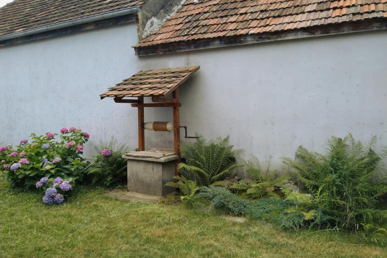 Galeria Turismului Montan Konuk evi Cîrţişoara Dış mekan fotoğraf