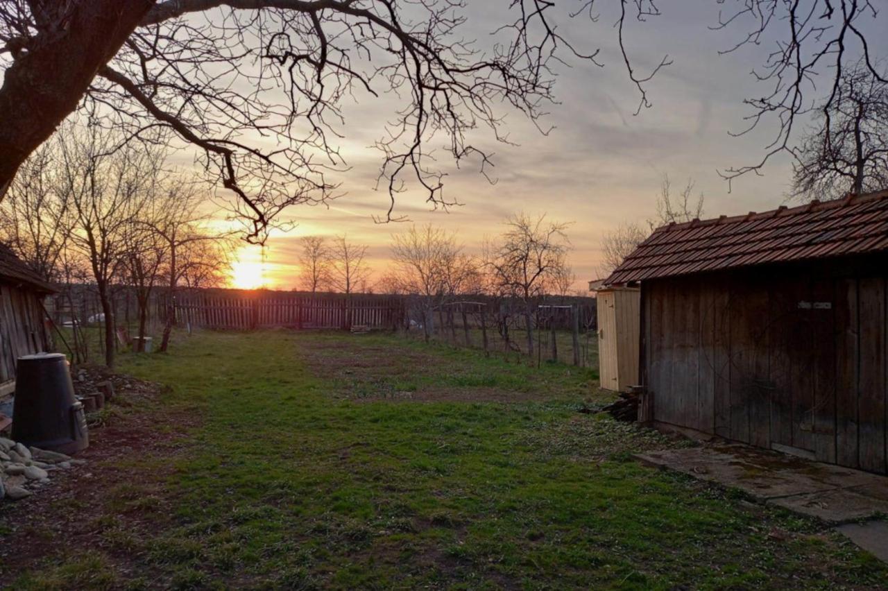 Galeria Turismului Montan Konuk evi Cîrţişoara Dış mekan fotoğraf