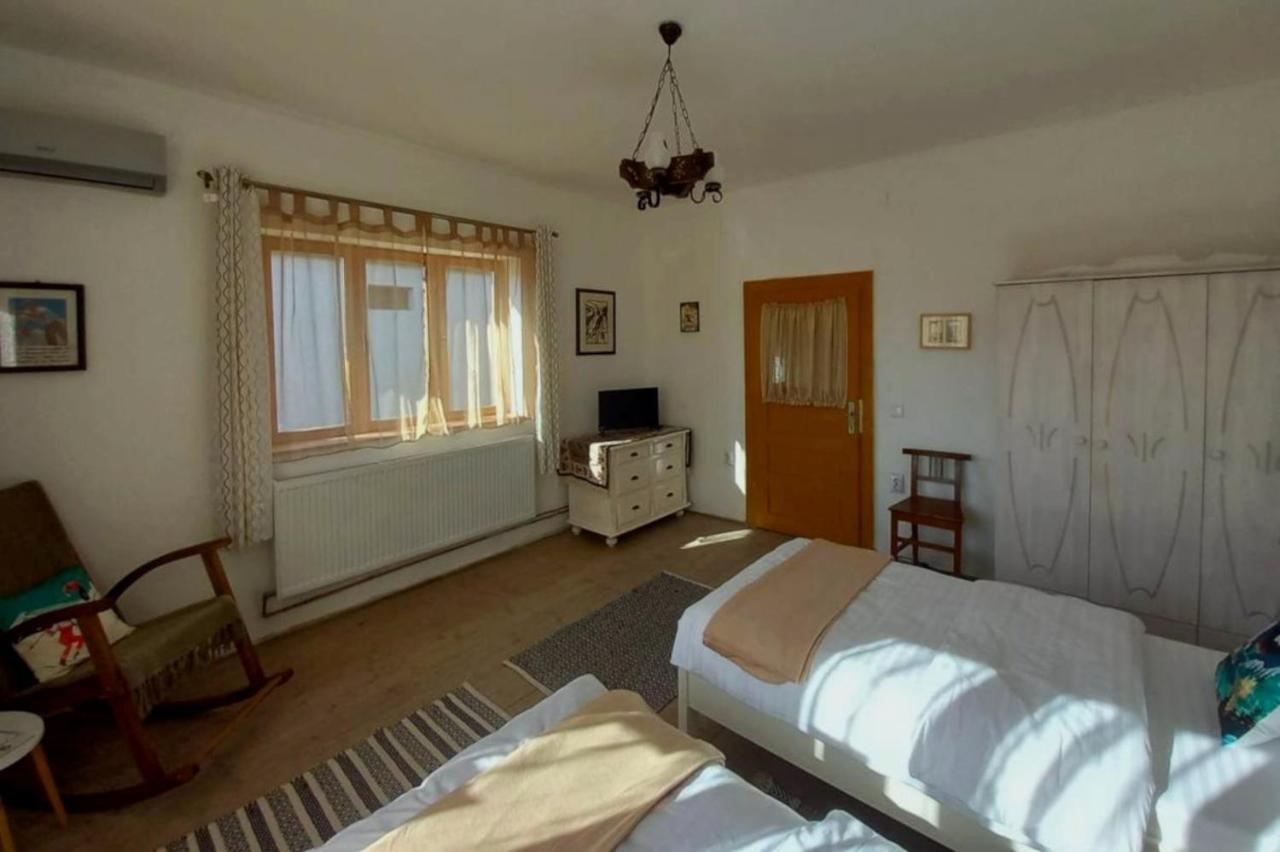 Galeria Turismului Montan Konuk evi Cîrţişoara Dış mekan fotoğraf